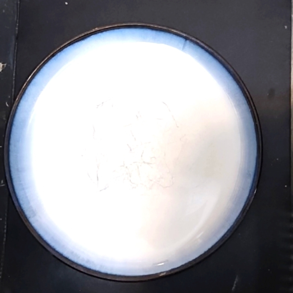 Sango Concepts Salad Plate